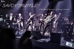 Savoy-Truffle-Band